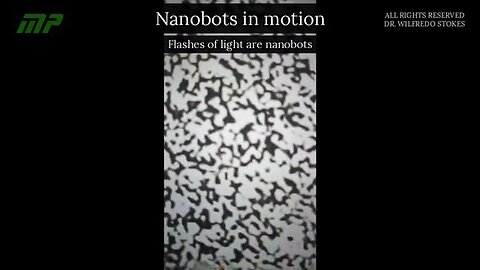 Nanobots in Blood Communicate via Electromagnetic Fields - Dr. Wilfredo Stokes