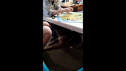 my sister taking forever at picking her starting spots in Catan