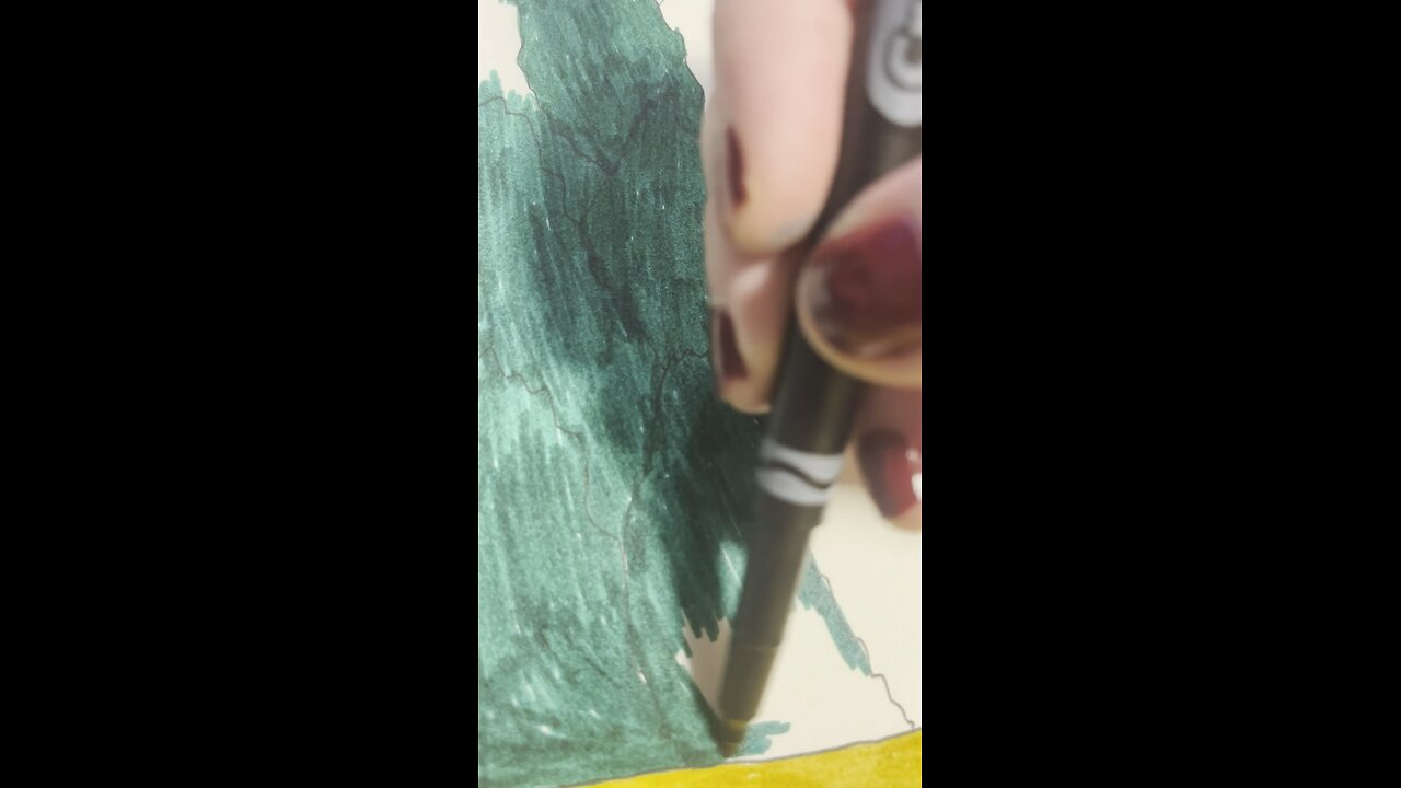 Camp Tontozona art video