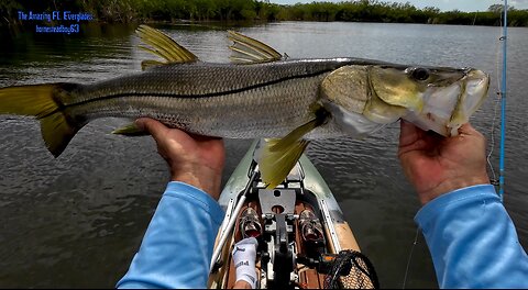 Kayak Snook Fishing Everglades National Park.