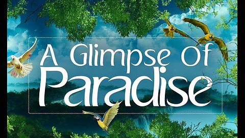 8-3-25 "A Glimpse of Paradise"