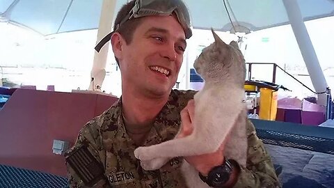 When Stray Cat picks a Soldier on duty, it's for life 🧡