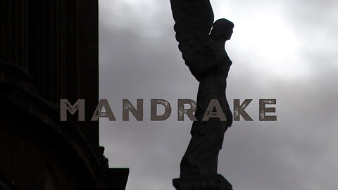 Carousel - Ep 4: Mandrake