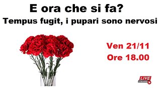 E ora che si fa? Tempus fugit, i pupari sono nervosi
