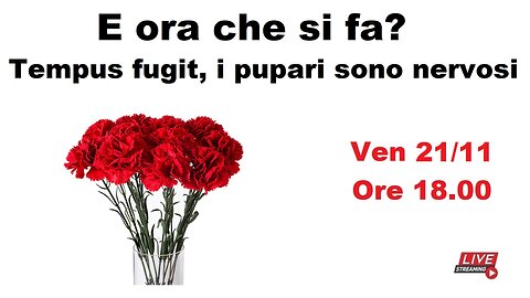 E ora che si fa? Tempus fugit, i pupari sono nervosi