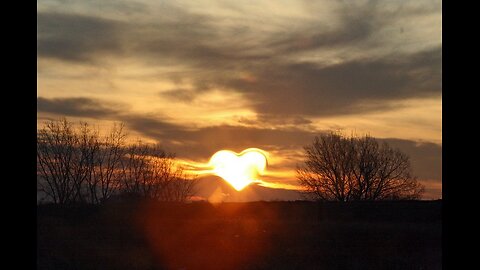 This Is How Powerful Love Can Be (Bruce Lipton on The Honeymoon Effect).