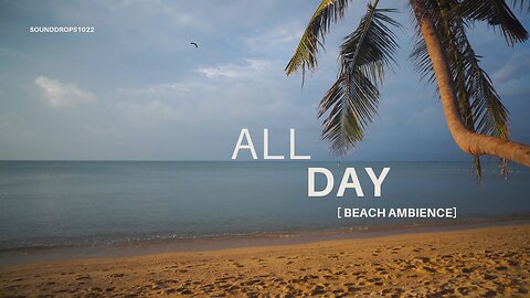 8 Hours of Gentle Beach Waves – All-Day Ocean Ambience