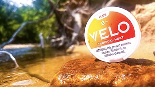 Velo Plus Tropical Heat (US Nicotine Pouches) Review