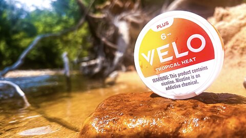 Velo Plus Tropical Heat (US Nicotine Pouches) Review