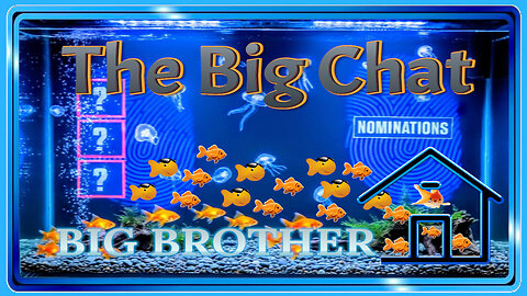 The Big Chat | When Big Brother Gives You Goldfish… Count votes?