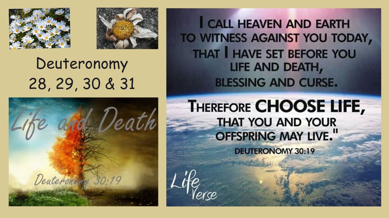 Deuteronomy 28, 29, 30 & 31 : Blessings & Cursings, Life & Death