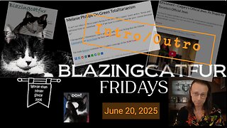 Blazing Cat Fur Friday's (BCFF) Placeholder 3 - June 23, 2025