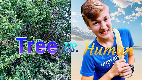 How to Naturally Kill a Tree #shorts - Homesteading Journey