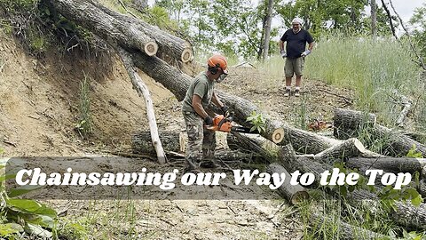 Roads Blocked. Trees Down. Clearing the Way.