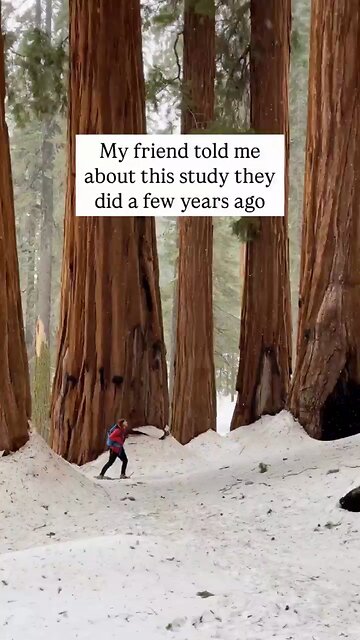 Distraction Is The Death Of Art But Boredom Is The Birthplace Of It ❣️