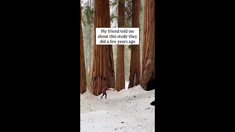 Distraction Is The Death Of Art But Boredom Is The Birthplace Of It ❣️