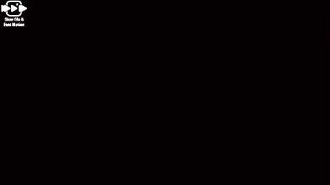 Pensejdotudofate 0.8x