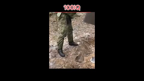 IQ 100000%