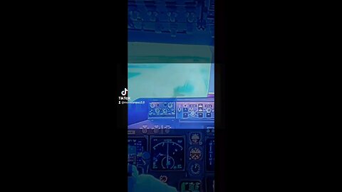 crazy flights ✈️?