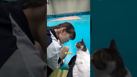 The Animals #funnyanimals #animals #pets #shorts