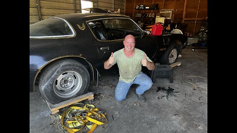 Bandit Trans Am Lives