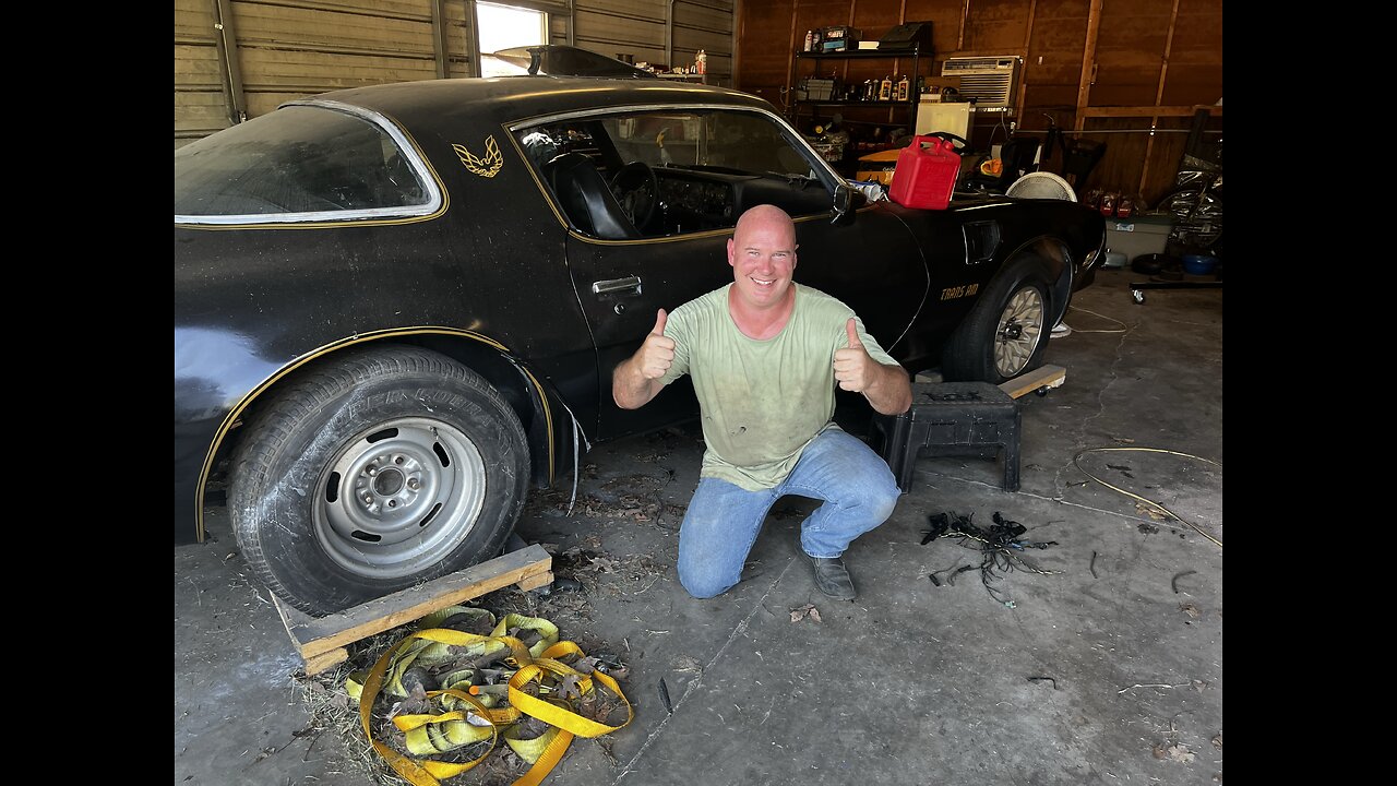 Bandit Trans Am Lives