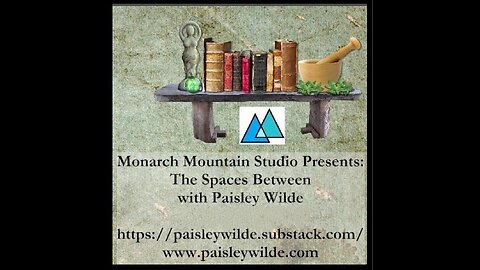 The Spaces Between with Paisley Wilde