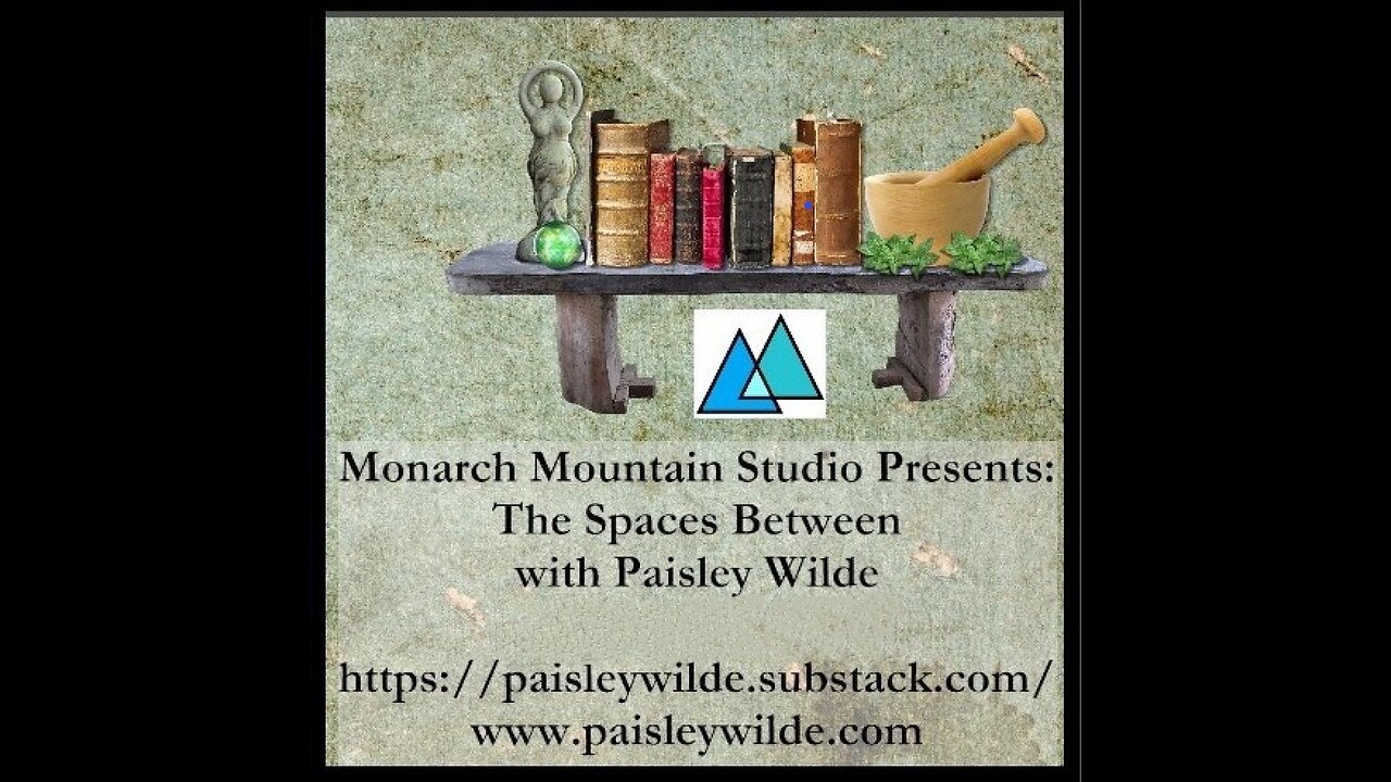 The Spaces Between with Paisley Wilde