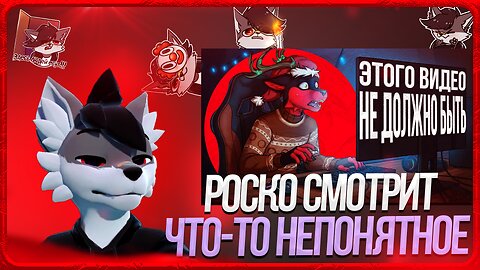 🐺 Роско смотрит SAMON WOOLF ВРУР - Это видео не должно было выйти - Поездка в приют ft. KotStas