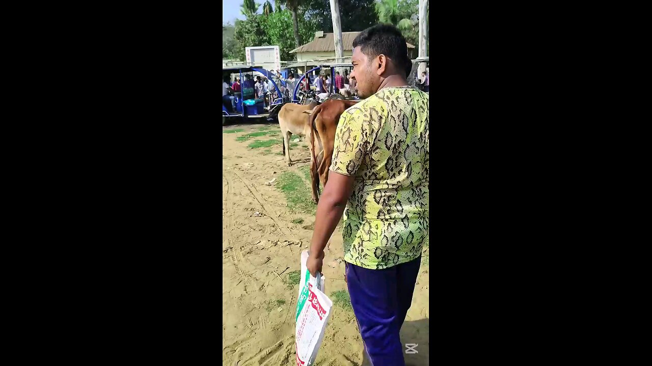 satisfying Video