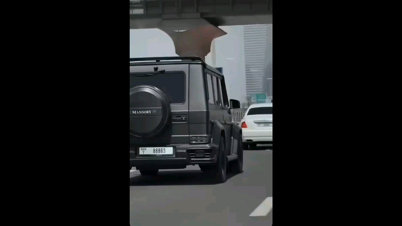 Billionaire's life 🤑