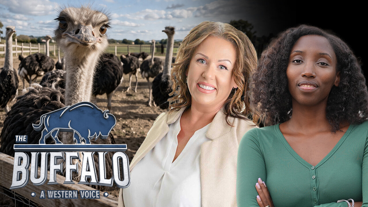 CBC releases ostrich doc, NDP caucus tension, Eby caves on DRIPA suspension | Buffalo Roundtable