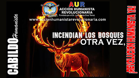 31-08-2025 INCENDIAN LOS BOSQUES OTRA VEZ, ¡REVOLUCIÓN HUMANISTA YA!