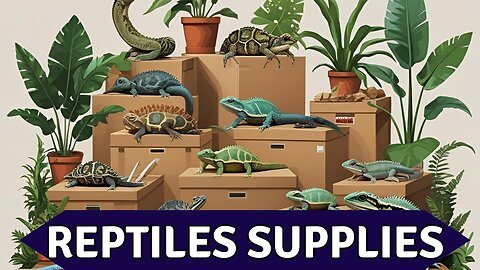 Reptile Keeping Made EASY with These Top Supplies