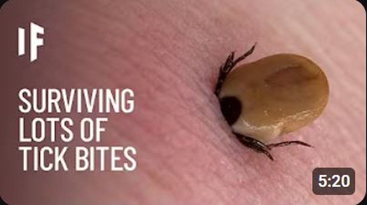 What If You Were Bitten by One Million Ticks? | The Terrifying Consequences Revealed!