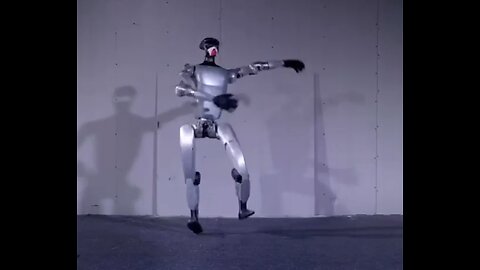 programmable humanoid robot