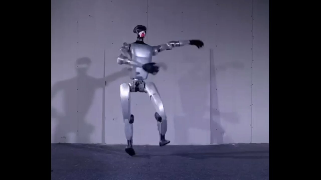 programmable humanoid robot