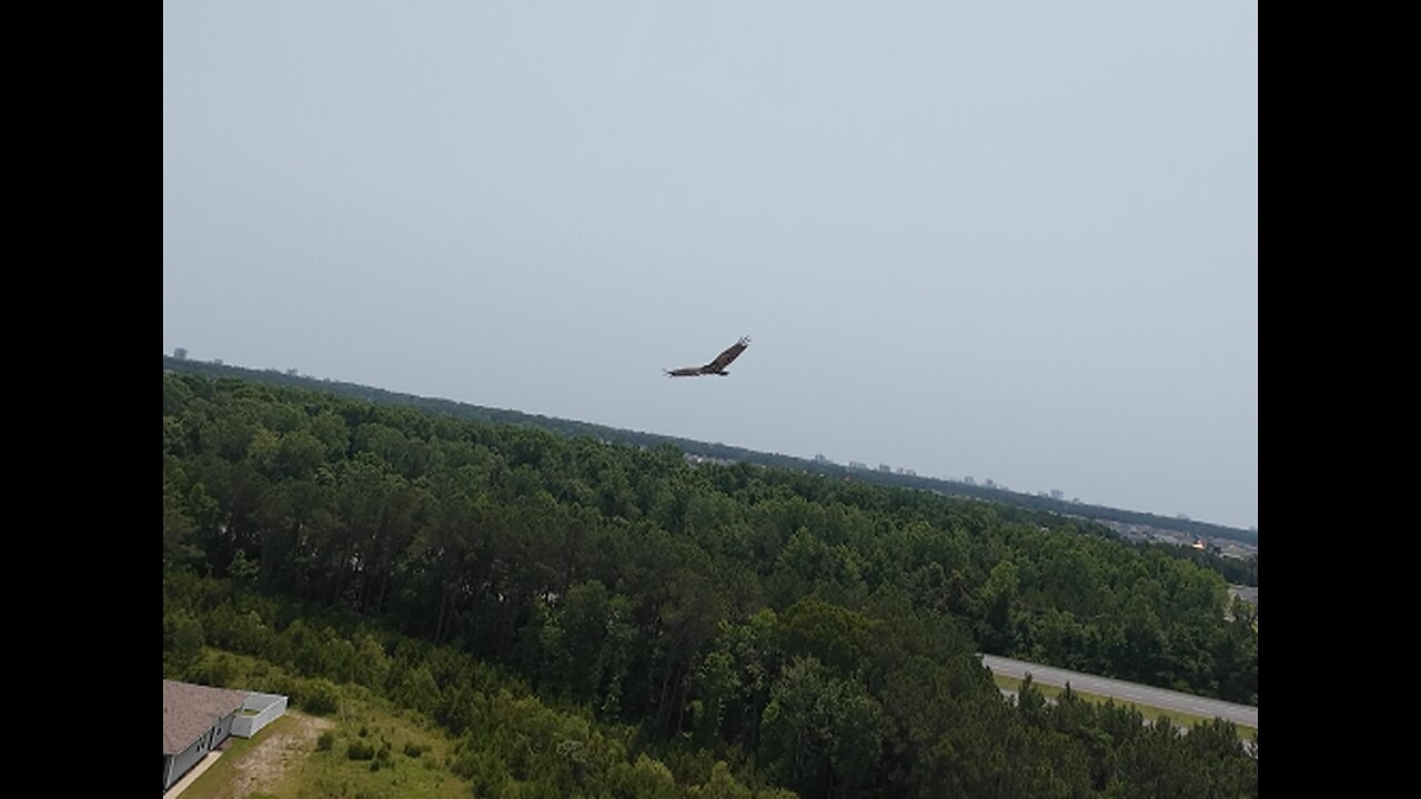 🦅 Hot Fun In The Summertime - Sly And The Family Stone 🦅