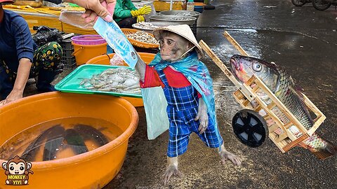YiYi helps grandpa sell fish to buy vegetables to cook for lunch