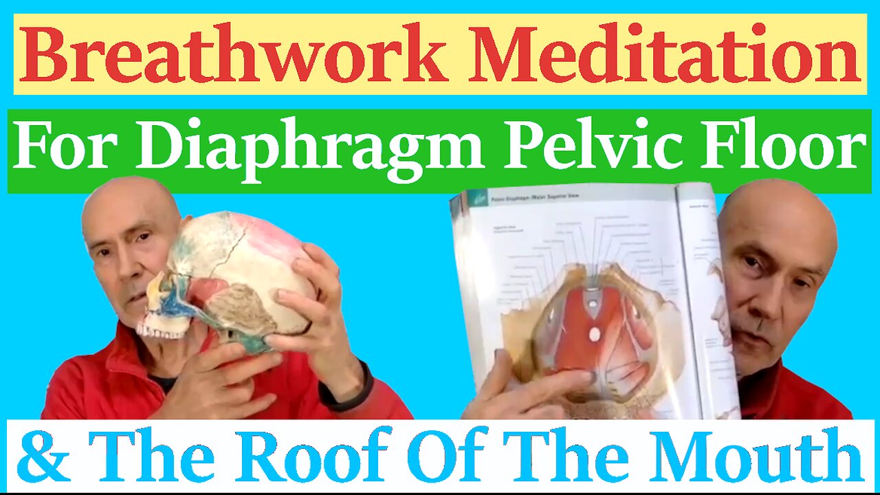 Breathwork Meditation With The Diaphragm, Pelvic Floor, Cranial Base, & Roof Of The Mouth