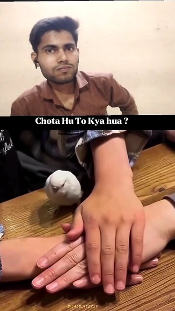 bhaichara on the top