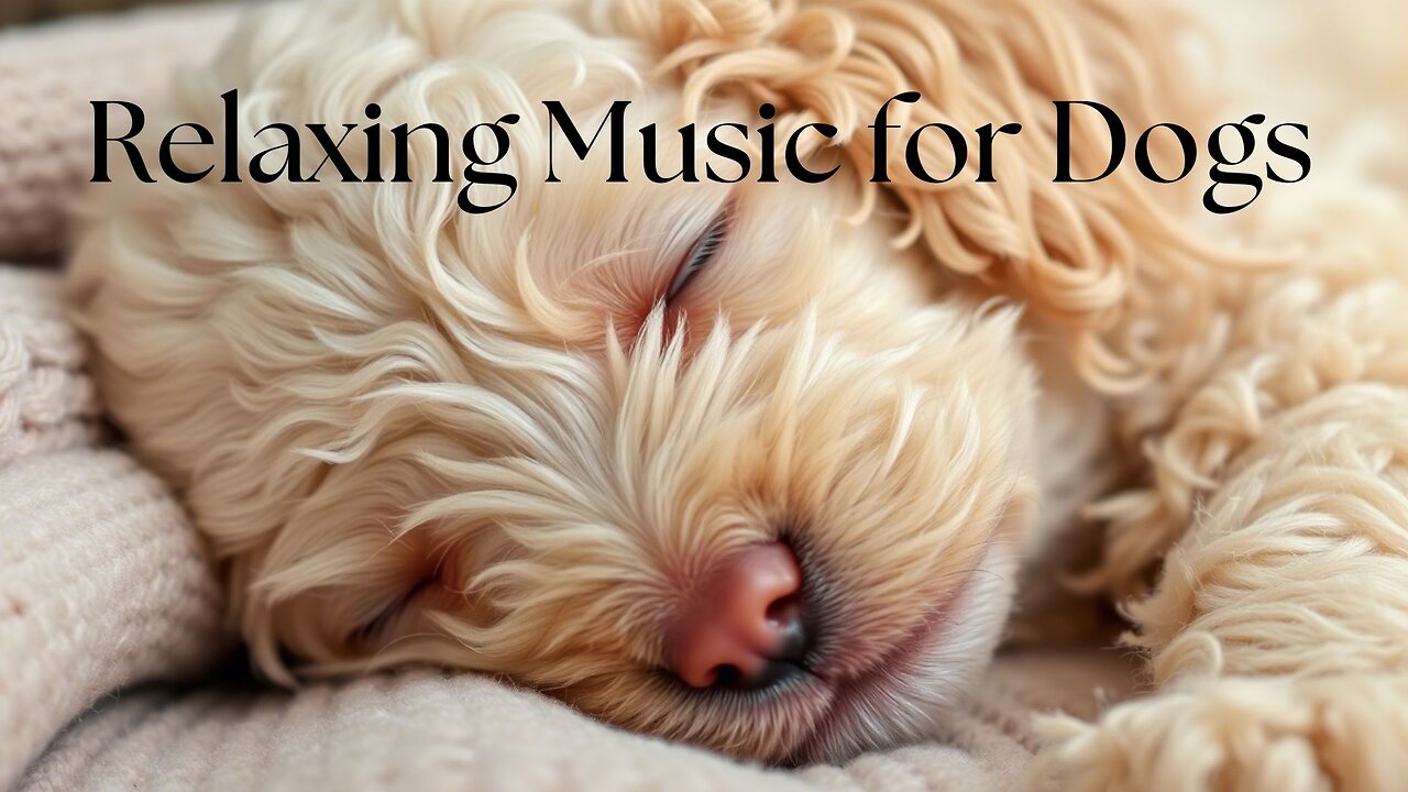 Relaxing Music for Dogs
