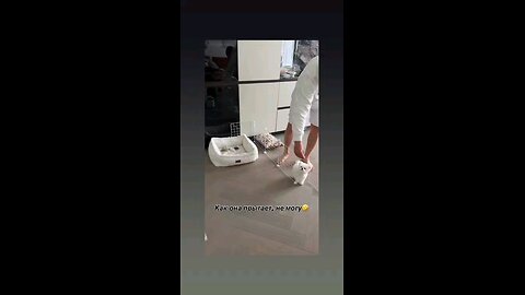 कितना कयुट है