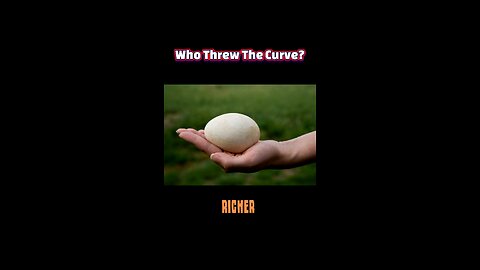 Cracking the Case: The Curious Rarity of Turkey Eggs