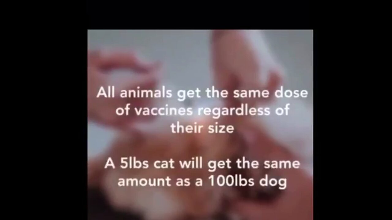 Pet Vaccination Is A Total Scam