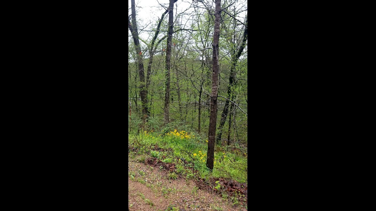 Flooding update April 5 2025 (1)