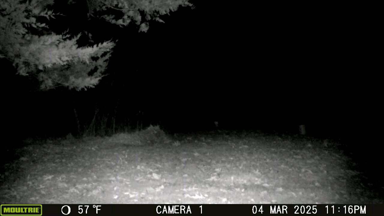 Ghost?