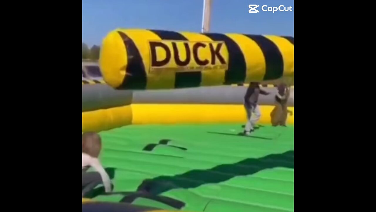 Holy shit 🤣