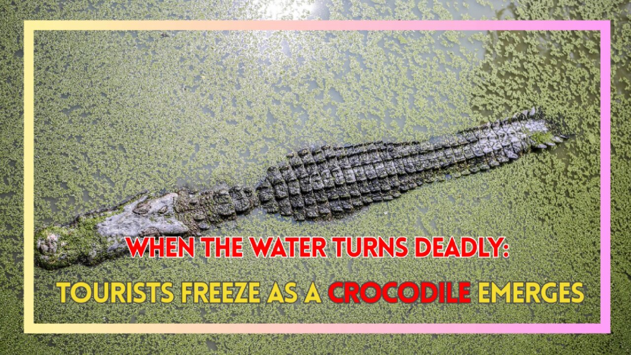 When the Water Turns Deadly: Tourists Freeze as a Crocodile Emerges