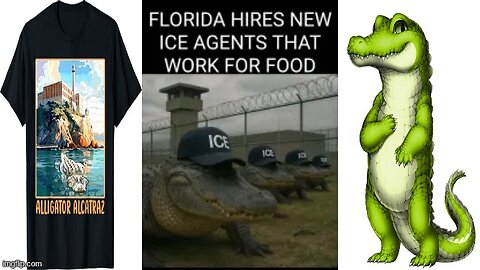 ALLIGATOR 🐊 ALCATRAZ❗